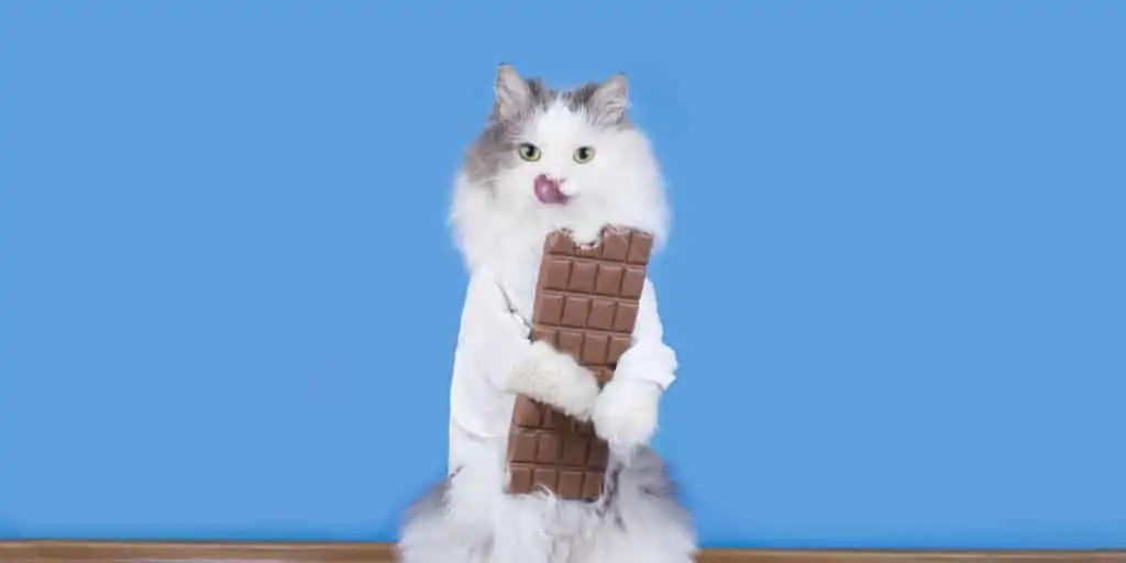 Theobromine