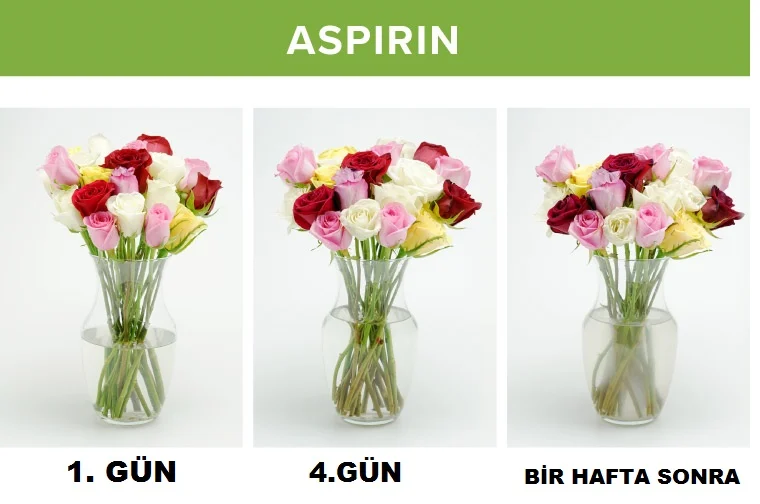 Hayatınızı Kolaylaştıracak İpuçları