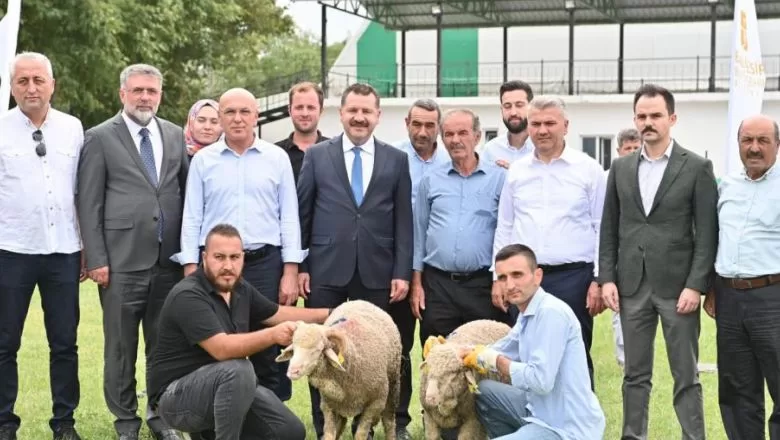 85 Üreticiye 585 Küçükbaş Desteği