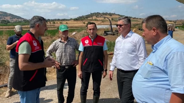 Balıkesir’de Slajlık Sorgum Otu Hasadı 