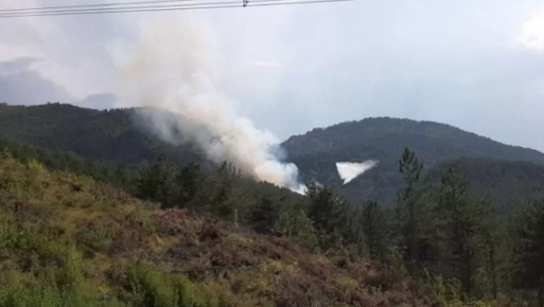 Bolu’da Orman Yangını Başladı