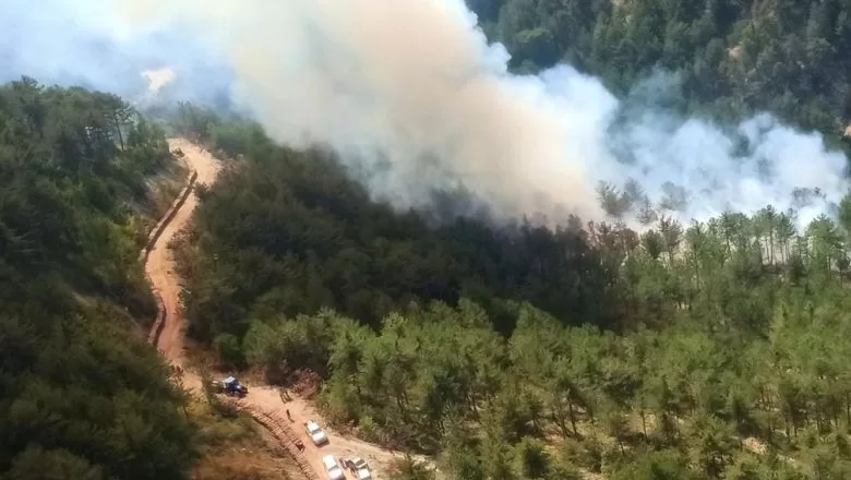 Bolu’da Orman Yangını Başladı