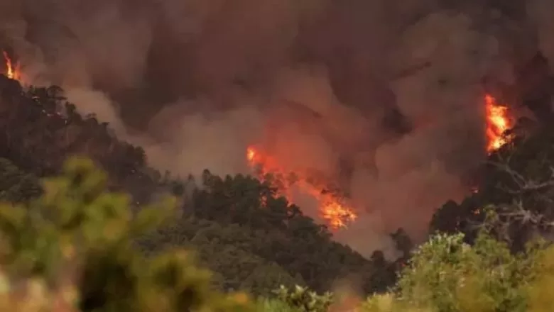 İspanya'nın Tenerife Adası'ndaki Yangın