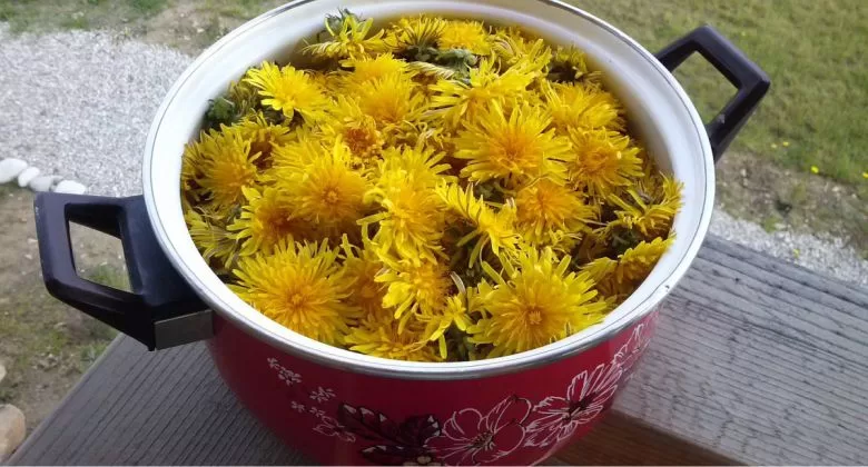 Karahindiba Çayı