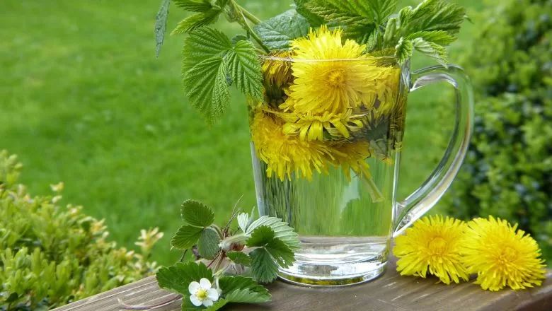 Karahindiba Çayı