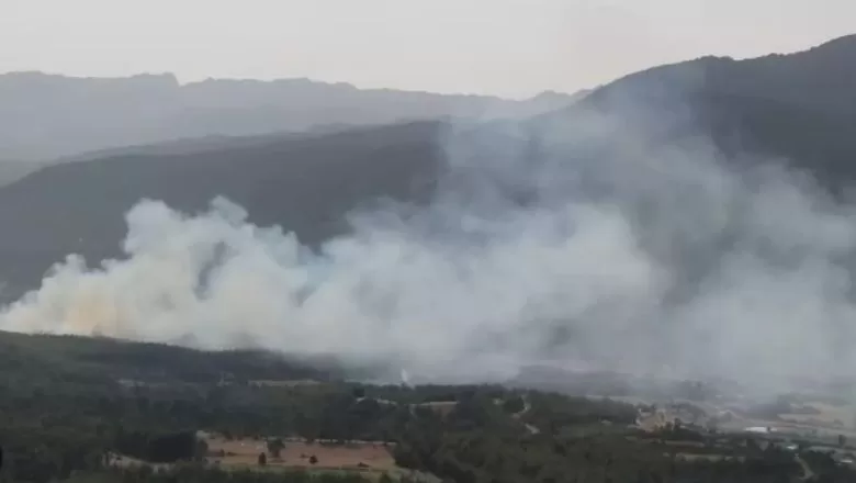 Manavgat'taki Orman Yangını Kontrol Altına Alındı