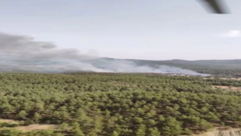 Manavgat'taki Orman Yangını Kontrol Altına Alındı