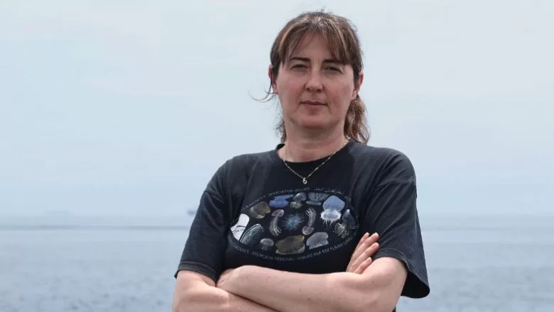 Marmara Denizi'nin Yeni Tehlikesi İstilacı Medüzler