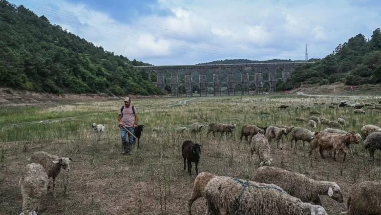 Marmara'da Barajların Durumu Tehlike Saçıyor