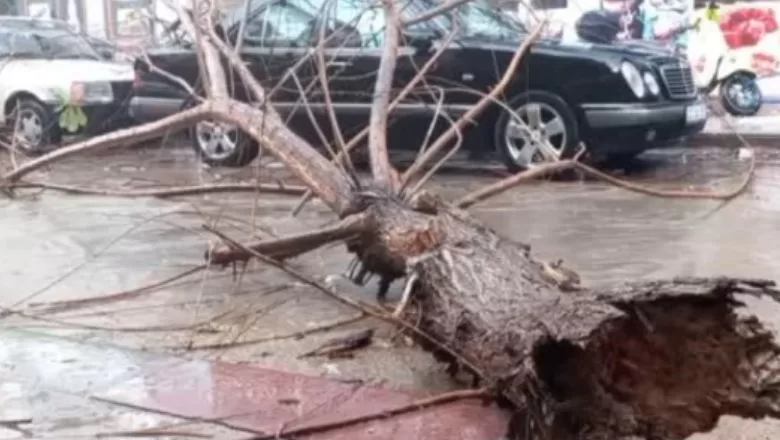 Sağanak Yağış Yolları Göle Çevirdi