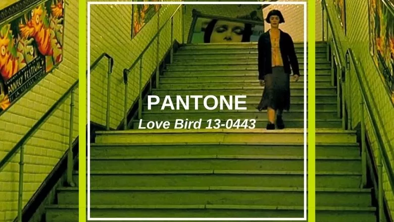 Son Dönemin Yükselişi: Pantone